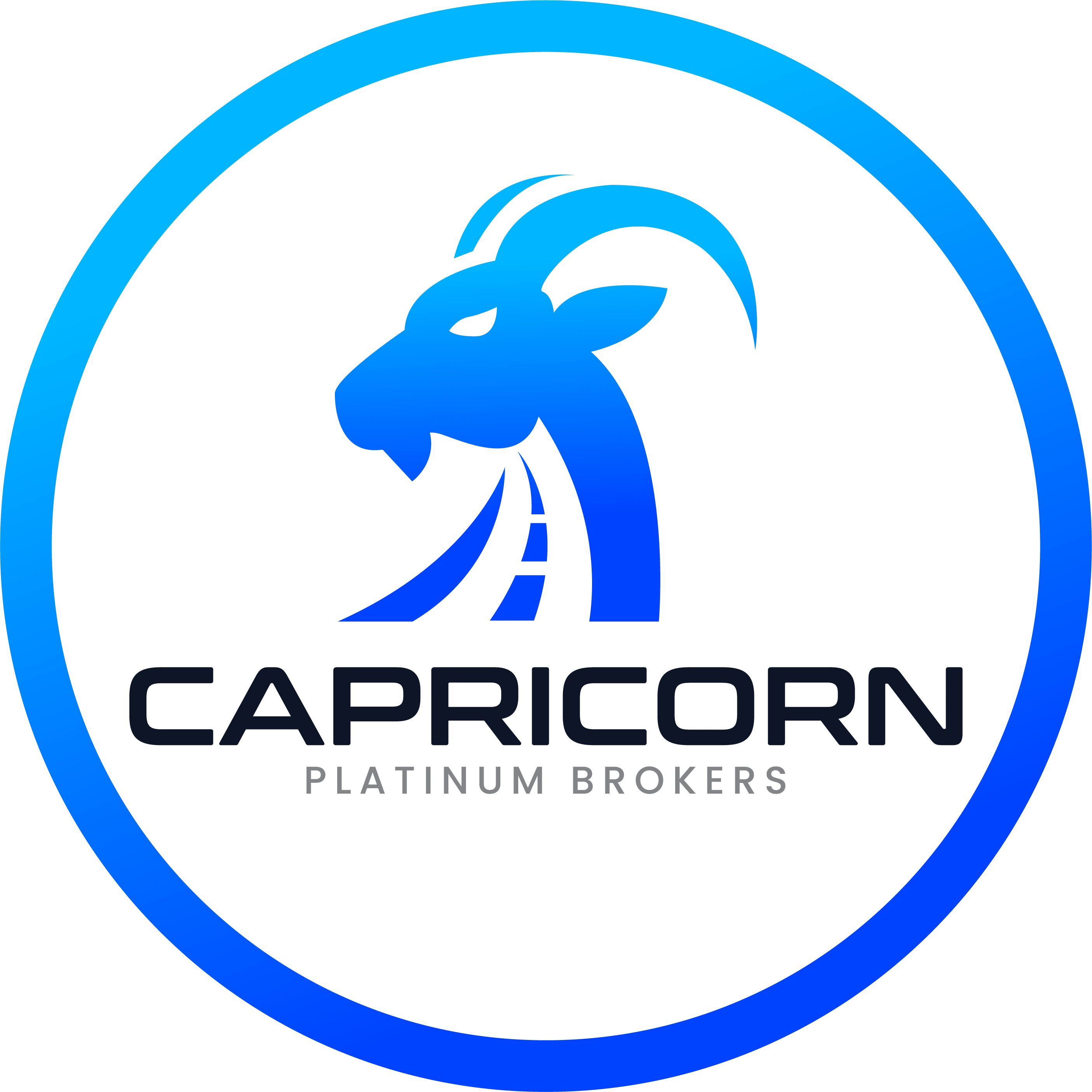 Capricorn Platinum Brokers